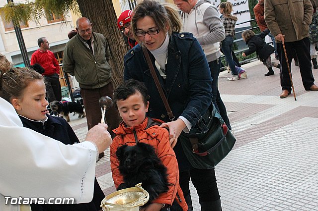 Los animales recibieron la bendicin en el da de su patrn, San Antn Abad - 2013 - 291