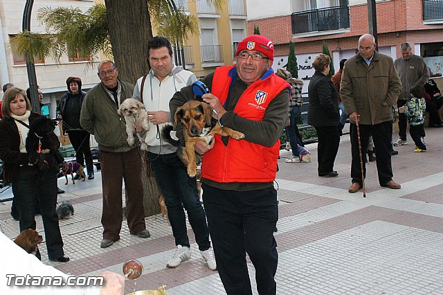 Los animales recibieron la bendicin en el da de su patrn, San Antn Abad - 2013 - 293