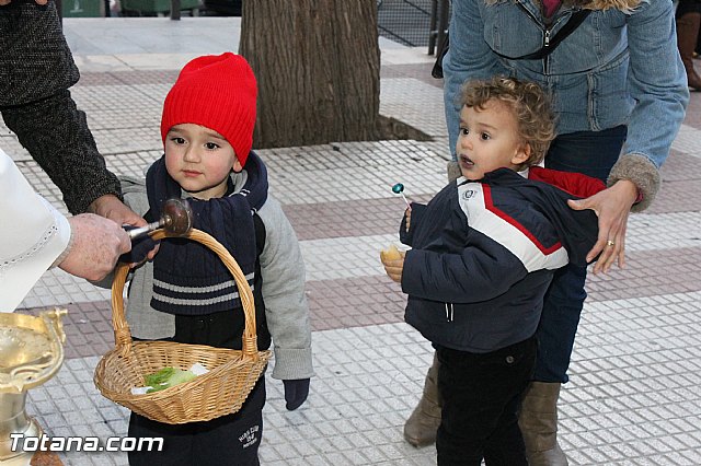 Los animales recibieron la bendicin en el da de su patrn, San Antn Abad - 2013 - 299