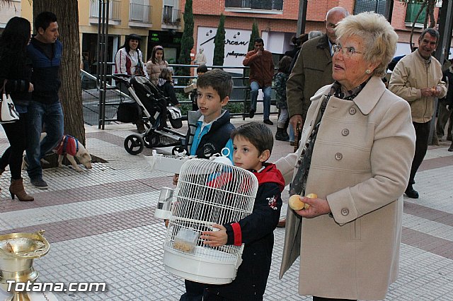 Los animales recibieron la bendicin en el da de su patrn, San Antn Abad - 2013 - 304