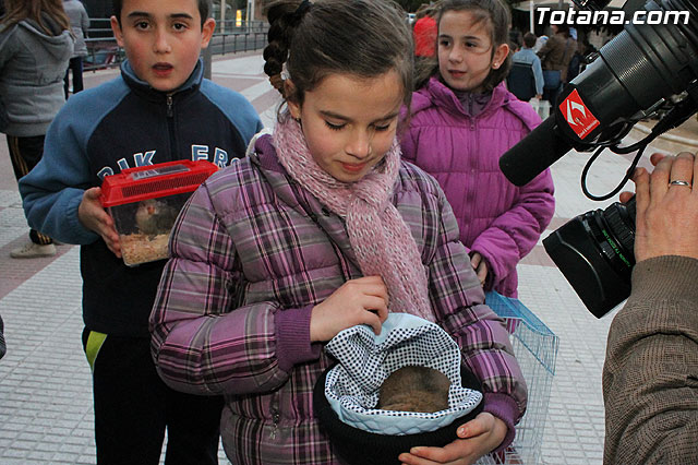 Los animales recibieron la bendicin en el da de su patrn, San Antn Abad - 2013 - 312