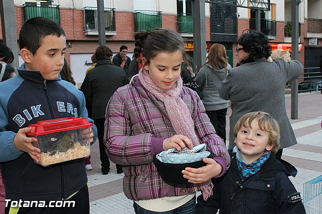 Los animales recibieron la bendicin en el da de su patrn, San Antn Abad - 2013 - 314