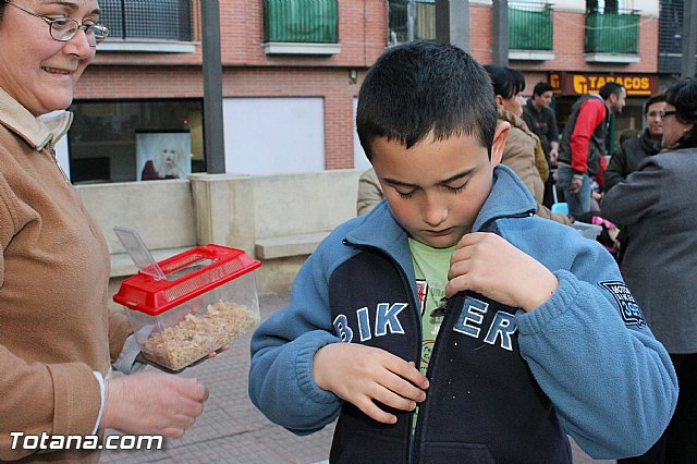 Los animales recibieron la bendicin en el da de su patrn, San Antn Abad - 2013 - 316