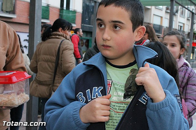 Los animales recibieron la bendicin en el da de su patrn, San Antn Abad - 2013 - 317
