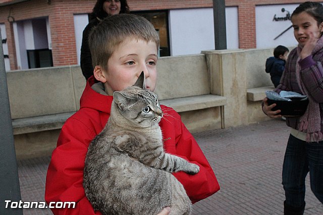 Los animales recibieron la bendicin en el da de su patrn, San Antn Abad - 2013 - 319