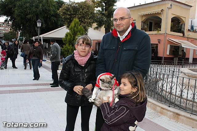 Los animales recibieron la bendicin en el da de su patrn, San Antn Abad - 2013 - 322