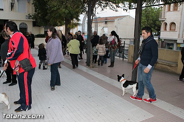 Los animales recibieron la bendicin en el da de su patrn, San Antn Abad - 2013 - 332