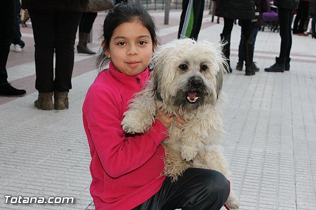 Los animales recibieron la bendicin en el da de su patrn, San Antn Abad - 2013 - 333