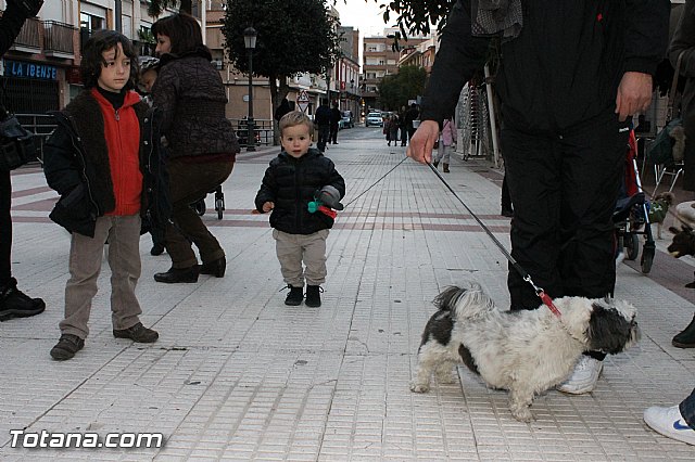 Los animales recibieron la bendicin en el da de su patrn, San Antn Abad - 2013 - 336