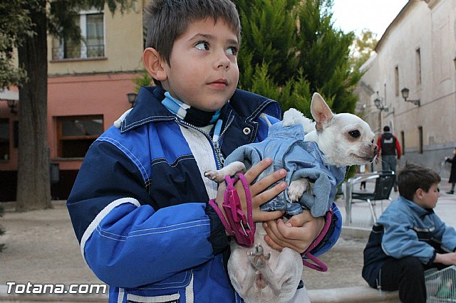 Los animales recibieron la bendicin en el da de su patrn, San Antn Abad - 2013 - 341