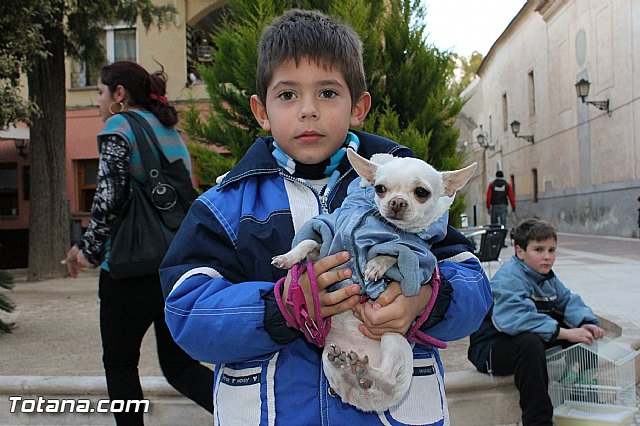Los animales recibieron la bendicin en el da de su patrn, San Antn Abad - 2013 - 342