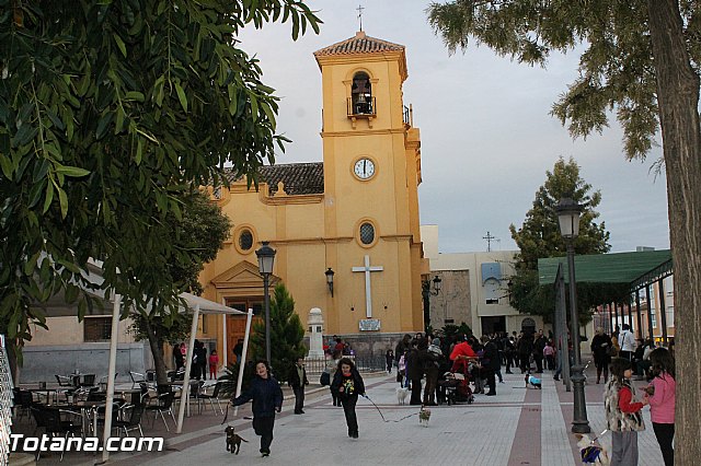 Los animales recibieron la bendicin en el da de su patrn, San Antn Abad - 2013 - 343