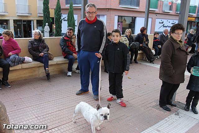 Los animales recibieron la bendicin en el da de su patrn, San Antn Abad - 2014 - 4