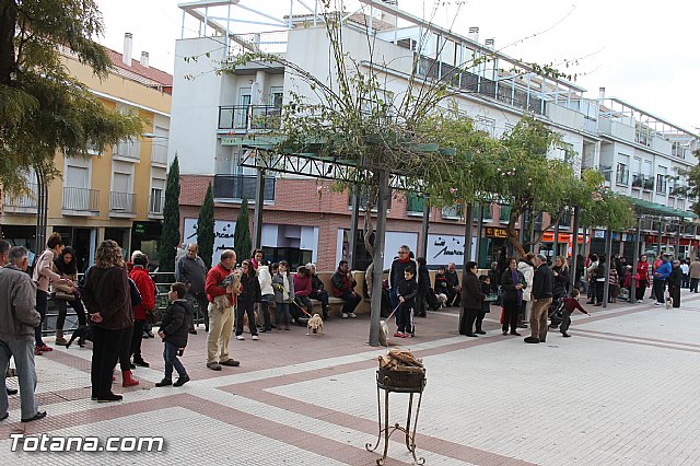 Los animales recibieron la bendicin en el da de su patrn, San Antn Abad - 2014 - 10