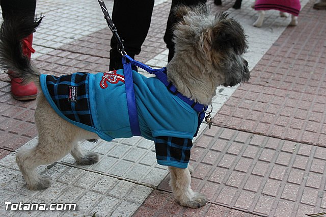 Los animales recibieron la bendicin en el da de su patrn, San Antn Abad - 2014 - 12