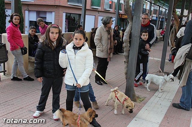 Los animales recibieron la bendicin en el da de su patrn, San Antn Abad - 2014 - 15