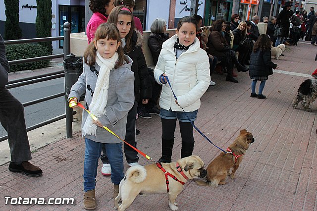 Los animales recibieron la bendicin en el da de su patrn, San Antn Abad - 2014 - 18