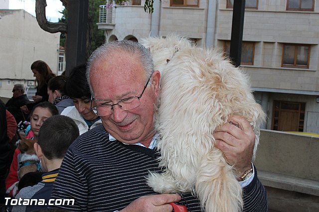 Los animales recibieron la bendicin en el da de su patrn, San Antn Abad - 2014 - 31