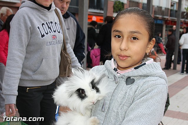 Los animales recibieron la bendicin en el da de su patrn, San Antn Abad - 2014 - 32