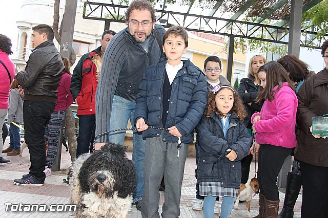 Los animales recibieron la bendicin en el da de su patrn, San Antn Abad - 2014 - 36