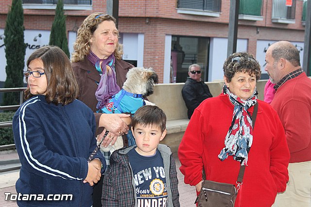 Los animales recibieron la bendicin en el da de su patrn, San Antn Abad - 2014 - 40