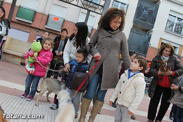 Los animales recibieron la bendicin en el da de su patrn, San Antn Abad - 2014 - 47
