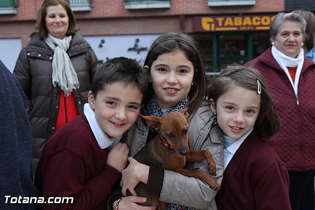 Los animales recibieron la bendicin en el da de su patrn, San Antn Abad - 2014 - 50