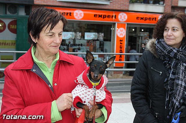 Los animales recibieron la bendicin en el da de su patrn, San Antn Abad - 2014 - 57