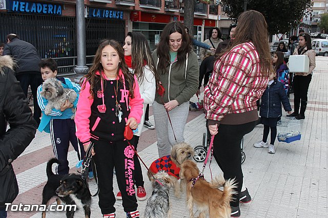 Los animales recibieron la bendicin en el da de su patrn, San Antn Abad - 2014 - 58