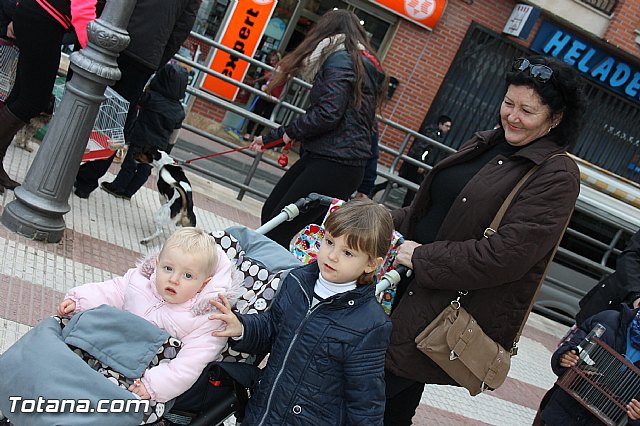 Los animales recibieron la bendicin en el da de su patrn, San Antn Abad - 2014 - 59