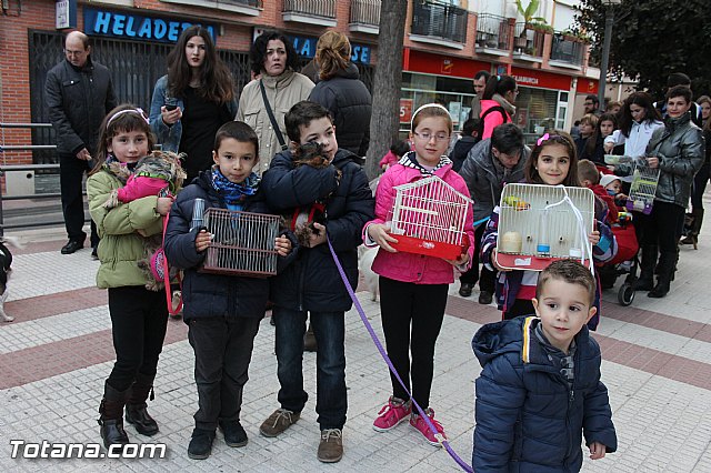 Los animales recibieron la bendicin en el da de su patrn, San Antn Abad - 2014 - 60