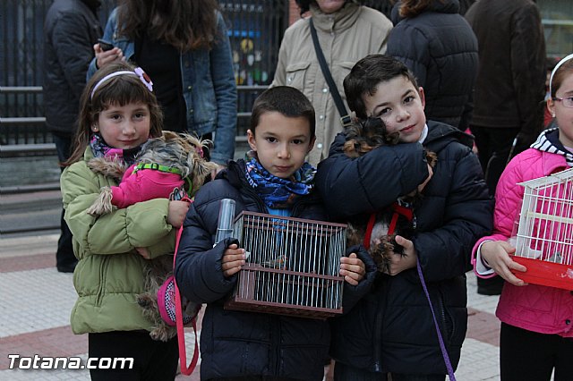 Los animales recibieron la bendicin en el da de su patrn, San Antn Abad - 2014 - 61