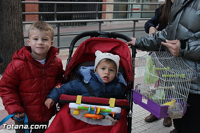 Los animales recibieron la bendicin en el da de su patrn, San Antn Abad - 2014 - 63
