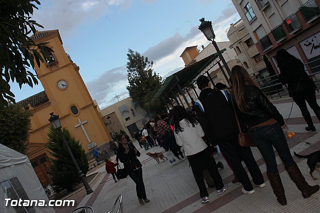 Los animales recibieron la bendicin en el da de su patrn, San Antn Abad - 2014 - 65
