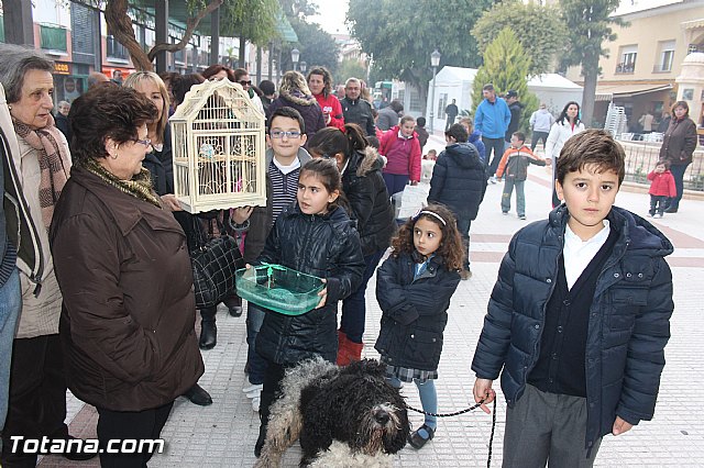 Los animales recibieron la bendicin en el da de su patrn, San Antn Abad - 2014 - 69