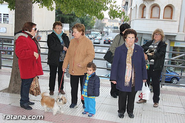 Los animales recibieron la bendicin en el da de su patrn, San Antn Abad - 2014 - 70