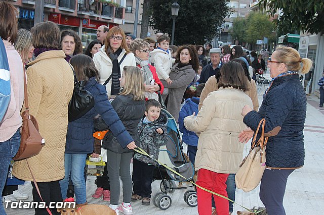 Los animales recibieron la bendicin en el da de su patrn, San Antn Abad - 2014 - 77