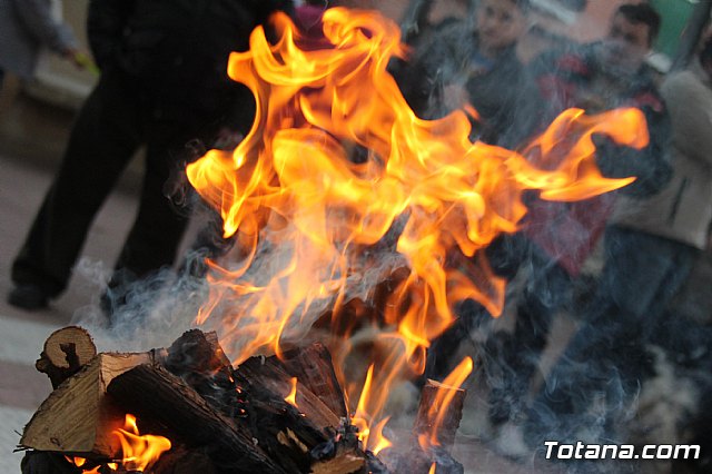 Los animales recibieron la bendicin en el da de su patrn, San Antn Abad - 2014 - 79