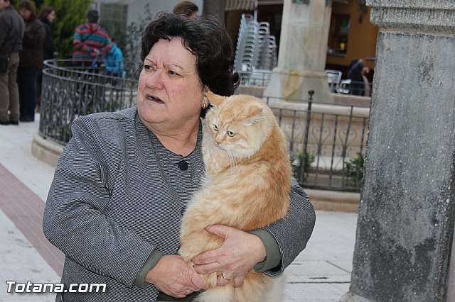 Los animales recibieron la bendicin en el da de su patrn, San Antn Abad - 2014 - 82