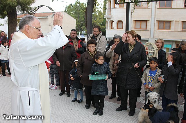 Los animales recibieron la bendicin en el da de su patrn, San Antn Abad - 2014 - 84