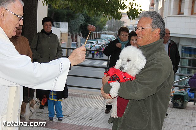 Los animales recibieron la bendicin en el da de su patrn, San Antn Abad - 2014 - 86