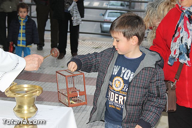 Los animales recibieron la bendicin en el da de su patrn, San Antn Abad - 2014 - 89