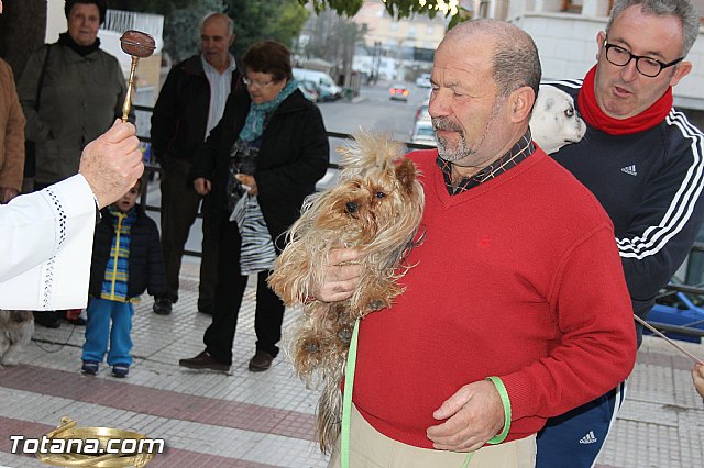 Los animales recibieron la bendicin en el da de su patrn, San Antn Abad - 2014 - 90