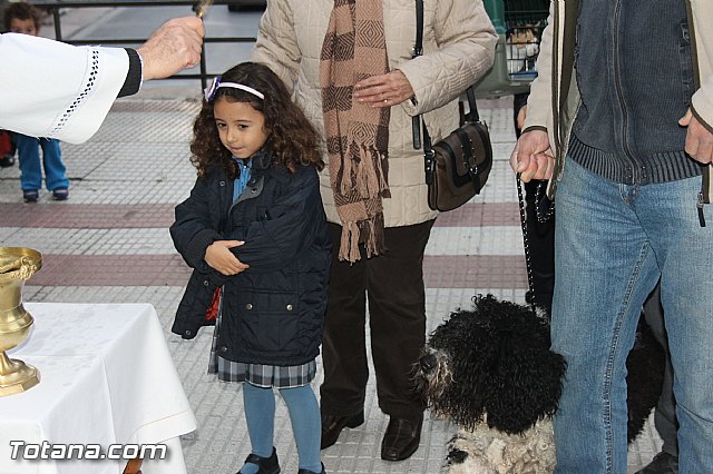 Los animales recibieron la bendicin en el da de su patrn, San Antn Abad - 2014 - 98