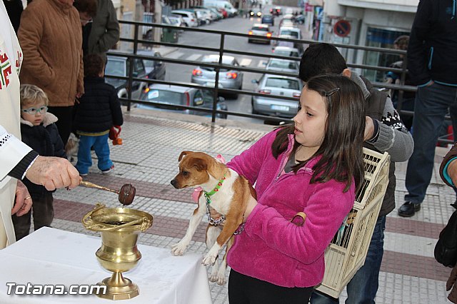 Los animales recibieron la bendicin en el da de su patrn, San Antn Abad - 2014 - 103