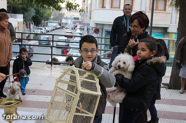 Los animales recibieron la bendicin en el da de su patrn, San Antn Abad - 2014 - 104