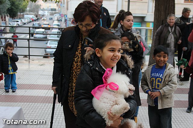 Los animales recibieron la bendicin en el da de su patrn, San Antn Abad - 2014 - 106