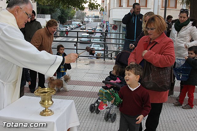 Los animales recibieron la bendicin en el da de su patrn, San Antn Abad - 2014 - 109