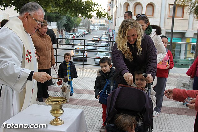 Los animales recibieron la bendicin en el da de su patrn, San Antn Abad - 2014 - 110