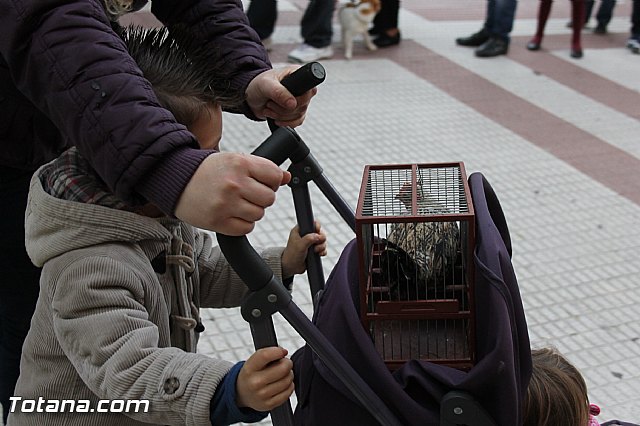 Los animales recibieron la bendicin en el da de su patrn, San Antn Abad - 2014 - 112